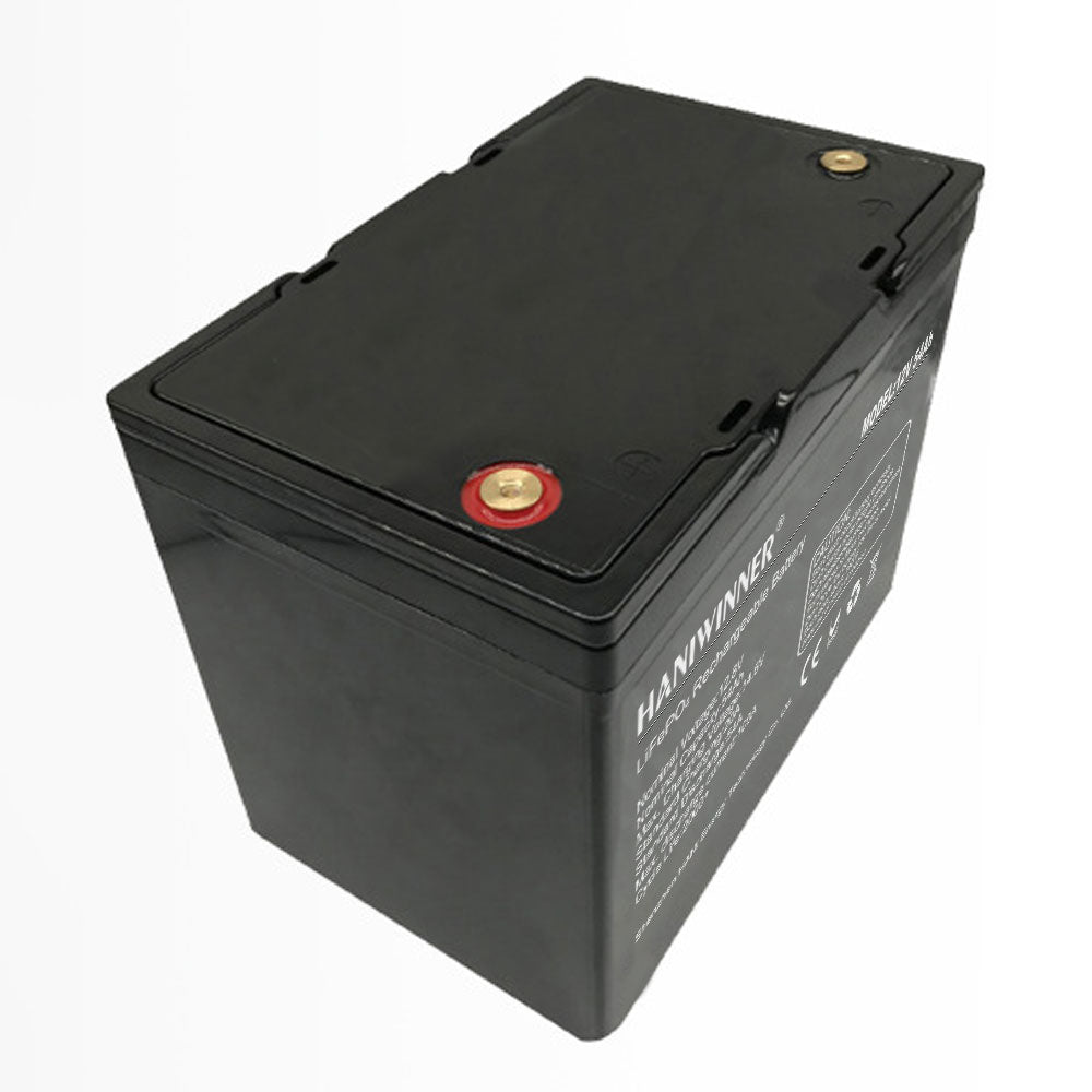 12.8V 54Ah/100Ah/200Ah HD009 LiFePO4 Lithium Battery