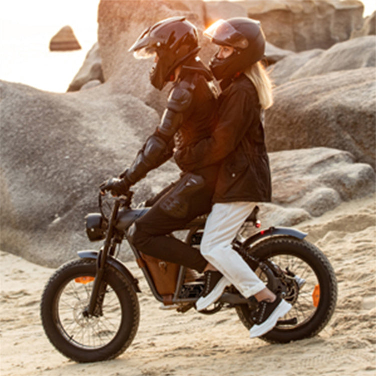 ZM21 48V 1200W Fat Tire Electric Mountain Bike