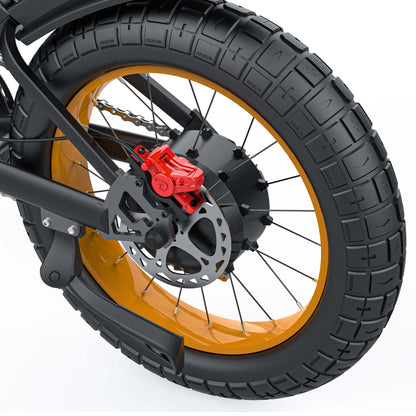 Coswheel GT20 MAX Dual Batteries Ebike
