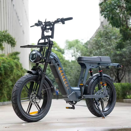D50 Electric Bike