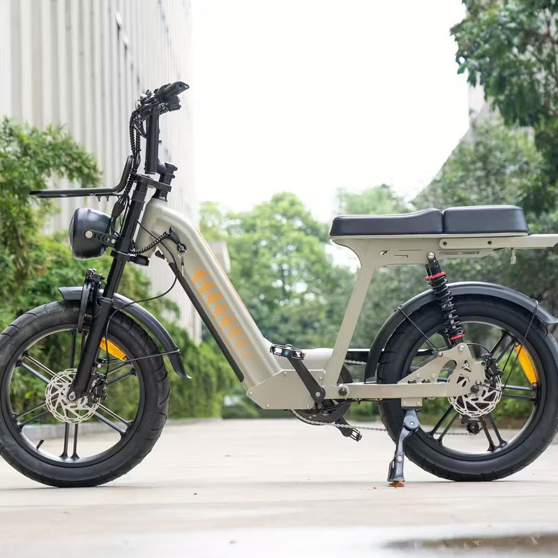 D50 Electric Bike