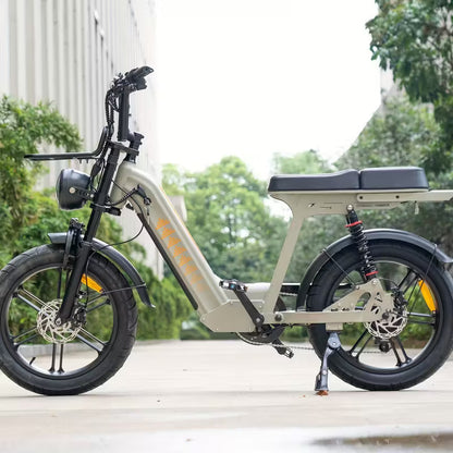 D50 Electric Bike
