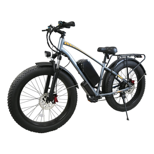F01 48V 750W 18.2Ah Electric Bike