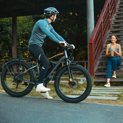 F01 48V 750W 18.2Ah Electric Bike