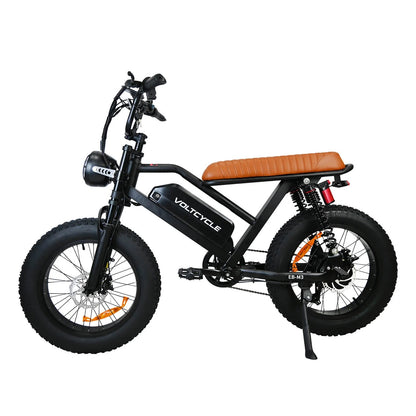 M3 48V 750W 18.2Ah Electric Bike