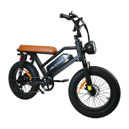 M3 48V 750W 18.2Ah Electric Bike