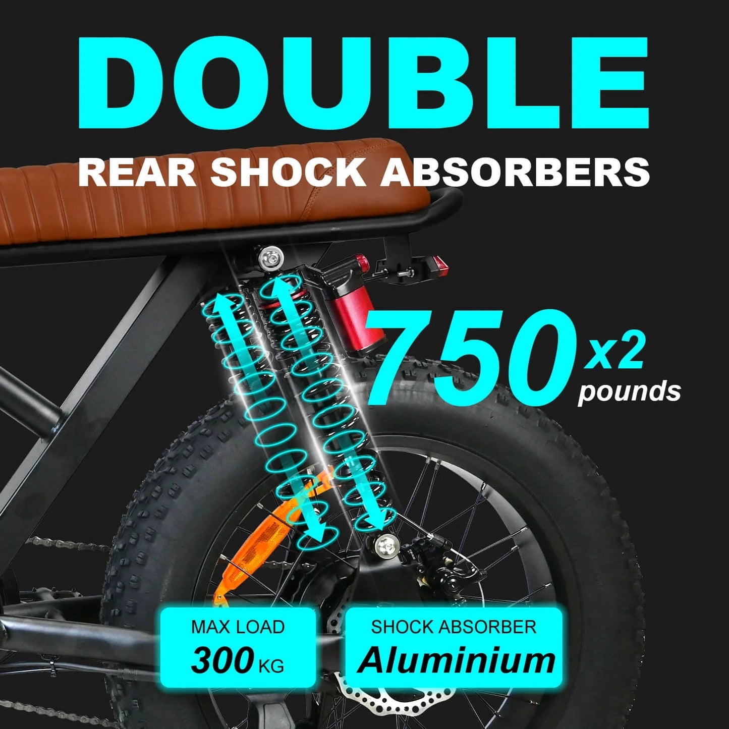 M3 48V 750W 18.2Ah Electric Bike