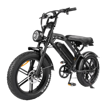 Tamobyke V20 Electric Bike Bulk Order in Europe