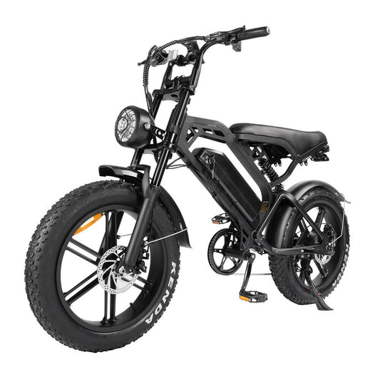 Tamobyke V20 3.0 Electric Bike Bulk Order in NL