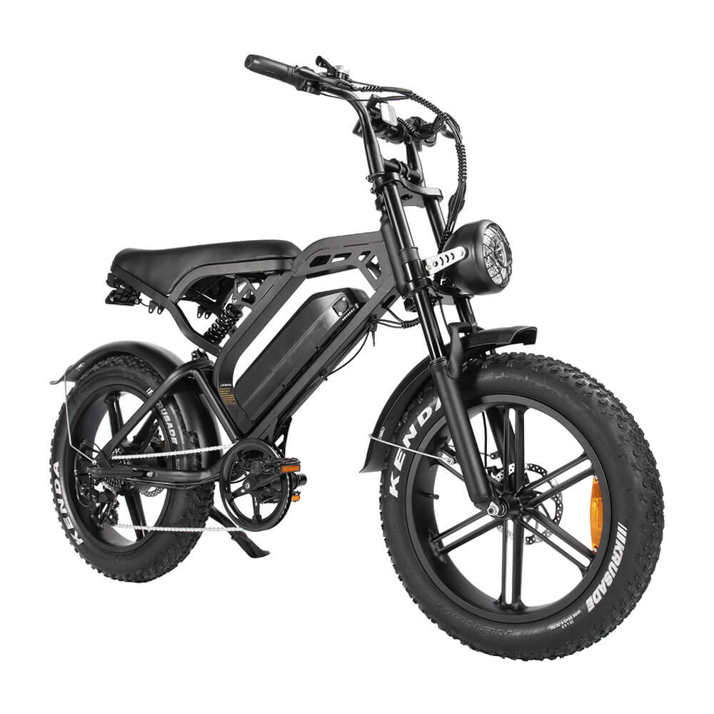 Tamobyke V20 3.0 Electric Bike