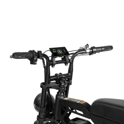 Tamobyke V20 Electric Bike Bulk Order in Europe