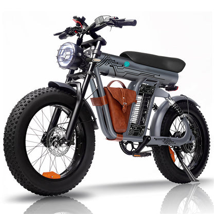 ZM21 48V 1200W Fat Tire Electric Mountain Bike