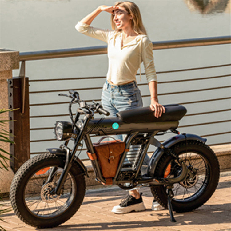 ZM21 48V 1200W Fat Tire Electric Mountain Bike