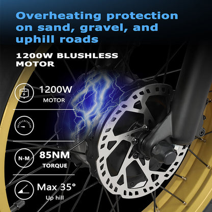 ZM22 1200W Mid-Drive Electric Mountain Bike