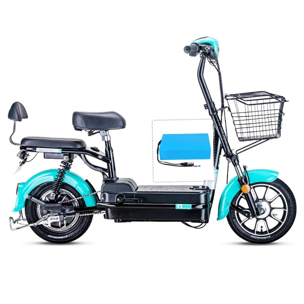 HA201 Electric Bike Battery 48V 20Ah Cell Pack
